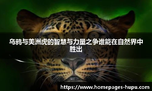 乌鸦与美洲虎的智慧与力量之争谁能在自然界中胜出